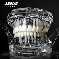 1 szt. Model dentystyczny Zęby Implant Przywrócenie mostu Badanie dydaktyczne Ząb Nauki medyczne Choroby dentysty Produkty stomatologiczne 2